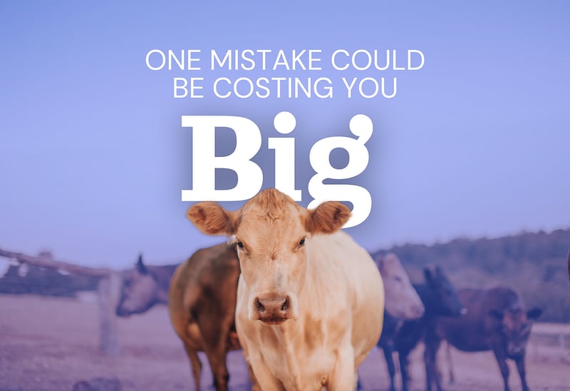 f2f519_11522c0968264232974d2bcf42ab21d9~mv2-Apr-22-2026-03-02-56-7750-AM