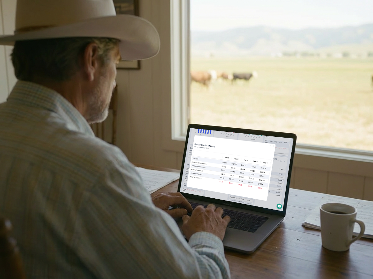 openart-image_1771556518850_85f9b278_1771556518937_160b7776